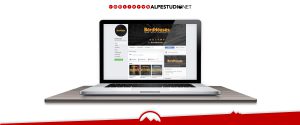 diseño web en guadalajara - Alpestudio