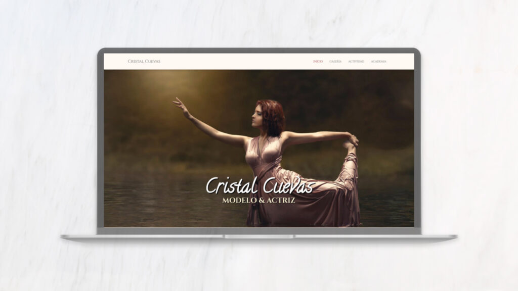 diseño y desarrollo web en guadalajara