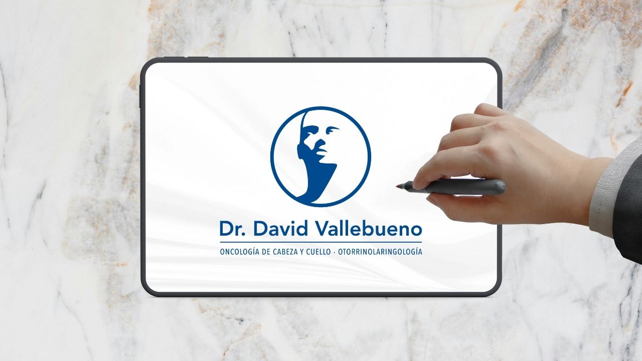 Diseño de logotipos e Identidad Corporativa en Guadalajara