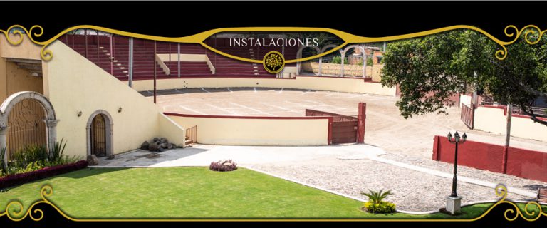 diseño web en guadalajara - Alpestudio