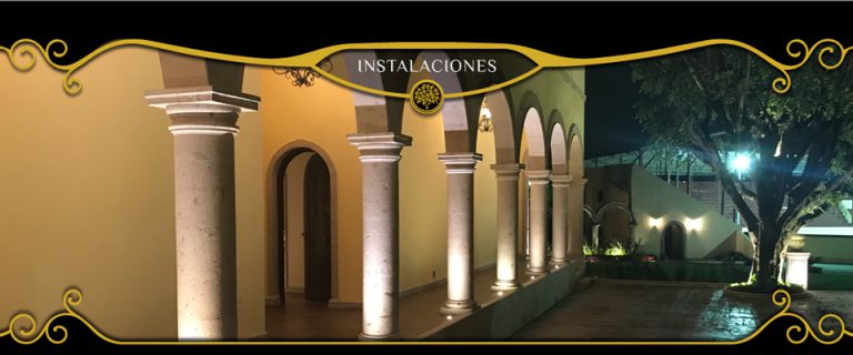 diseño web en guadalajara - Alpestudio