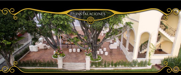diseño web en guadalajara - Alpestudio