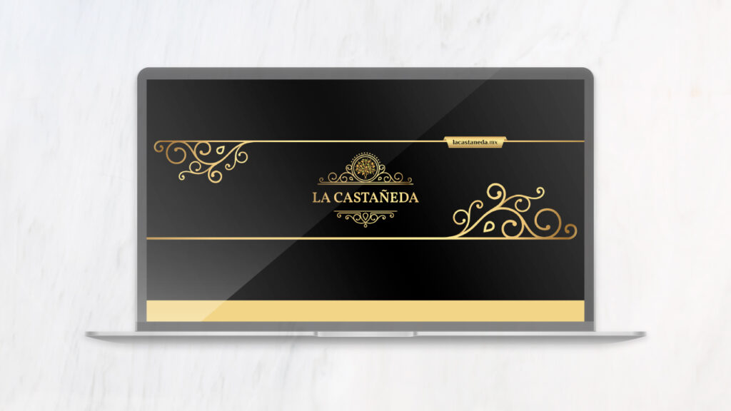 diseño y desarrollo web en guadalajara