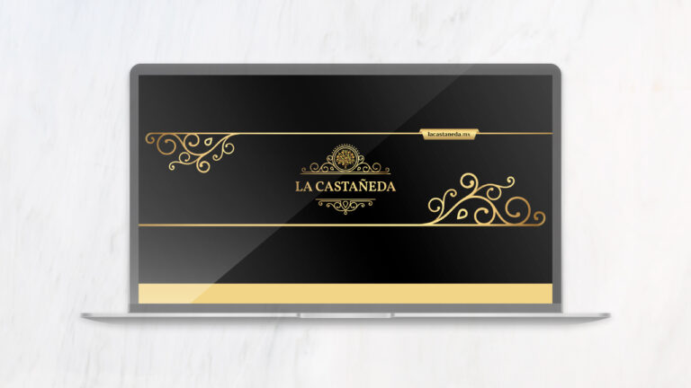 diseño y desarrollo web en guadalajara