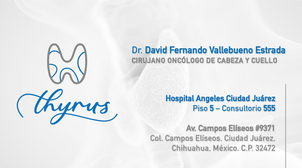 Diseño de logotipos e Identidad Corporativa en Guadalajara